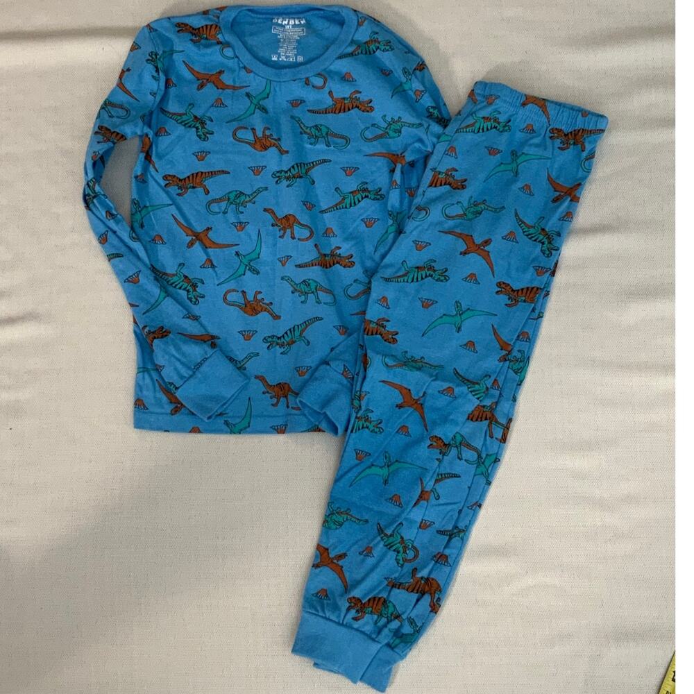 BenBen Dinosaur Boys Pajamas size 10 T